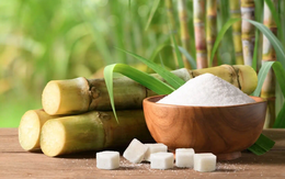 Thị trường mía đường đang ở tình trạng cung vượt cầu