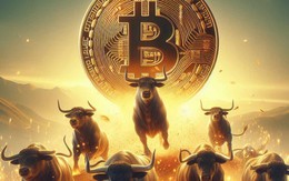 Giá Bitcoin hôm nay 16/4: Nhiều dữ liệu thể hiện chu kỳ tăng giá