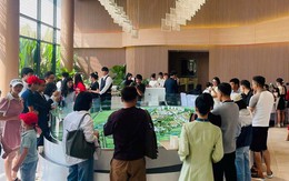 Thị trường bất động sản miền Nam trong quý II/2026 sẽ dồi dào nguồn cung hơn