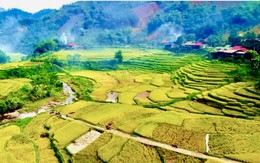 Xứ Thanh – Nơi vẻ đẹp hội tụ và khát vọng vươn xa