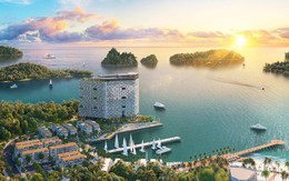 Giải mã vị trí độc tôn của tòa tháp Thanh Long trung tâm Cát Bà