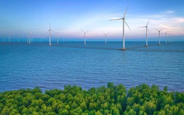 Cà Mau đặt mục tiêu tăng trưởng sản lượng điện sản xuất bình quân hàng năm đạt 10,4%