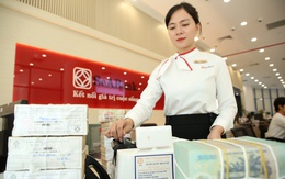 Những dấu ấn phát triển của SeABank năm 2025