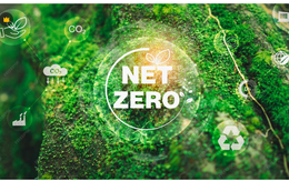 Cuộc đua “Net Zero” và áp lực lên hạ tầng khu công nghiệp