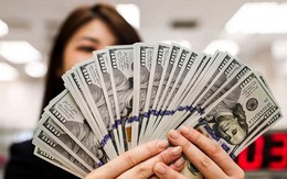 Tỷ giá USD hôm nay 23/4: Tỷ giá trung tâm tăng 5 đồng