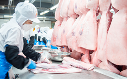 VISSAN: Năm 2026 dự kiến đạt doanh thu 3.270 tỷ đồng, lợi nhuận trước thuế 115,6 tỷ đồng