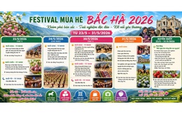Lào Cai: Bắc Hà rực rỡ Festival mùa Hè năm 2026
