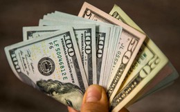 Tỷ giá USD hôm nay 28/4: Tỷ giá trung tâm giảm 2 đồng