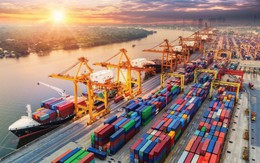Sau 4 năm, TP. Hồ Chí Minh đã thu hơn 9.000 tỷ đồng phí hạ tầng cảng biển