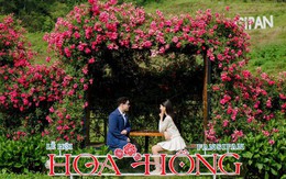 Hàng vạn du khách “đổ về” Fansipan, nô nức check in Lễ hội Hoa hồng 2026