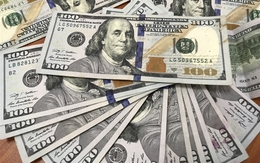 Tỷ giá USD hôm nay 29/4: Tỷ giá trung tâm tăng 2 đồng