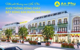 Ân Phú - 20 năm kiến tạo giá trị, nâng tầm đô thị Việt