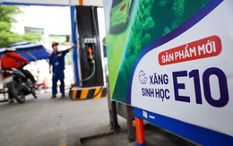 Danh sách những loại xe máy, ô tô dùng được xăng E10