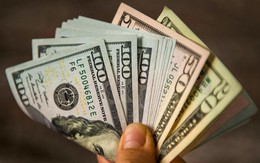 Tỷ giá USD hôm nay 6/4: Tỷ giá trung tâm giảm 1 đồng