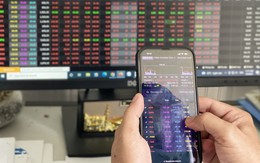 Số tài khoản chứng khoán đạt mức cao nhất kể từ tháng 7/2022