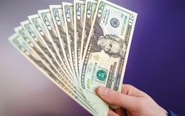 Tỷ giá USD hôm nay 8/4: Tỷ giá trung tâm giảm 2 đồng