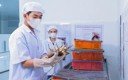 KLC Group sau 9 năm: Khi hệ sinh thái bước vào giai đoạn “chín” để bứt tốc