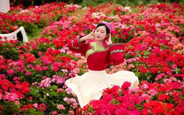 “Bản giao hưởng triệu đóa hồng” đánh dấu 10 năm cáp treo Fansipan