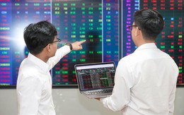 Nghịch lý VN-Index lập đỉnh nhưng nhà đầu tư vẫn lỗ