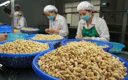 Tháng 4, các doanh nghiệp Việt đã chi gần 943 triệu USD để nhập khẩu điều thô