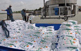Xuất khẩu phân bón 4 tháng đầu năm thu về hơn 589 triệu USD