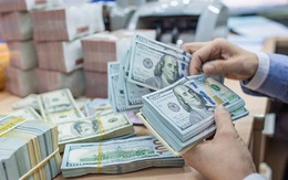 Sự phân cực từ mảng kinh doanh ngoại hối tại các ngân hàng