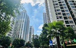 Nhiều doanh nghiệp chuyển hướng sang phát triển nhà ở giá phù hợp
