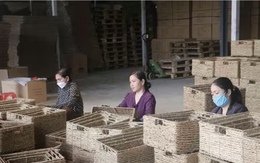 Nâng hạng nông sản xứ Thanh bằng tư duy số hóa chuỗi giá trị