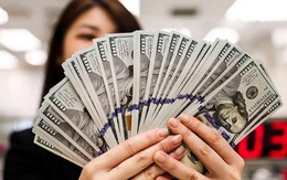 Tỷ giá USD hôm nay 14/5: Tỷ giá trung tâm tăng 3 đồng