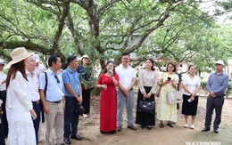 Hải Phòng: Xây dựng tour trải nghiệm “Mùa quả chín xứ Đông”, đánh thức tiềm năng du lịch nông nghiệp