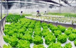 Xây dựng nền tảng cho “nông sản phát thải thấp”