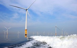 Quảng Ninh phê duyệt dự án điện gió hơn 2.364 tỷ đồng tại đặc khu Cô Tô