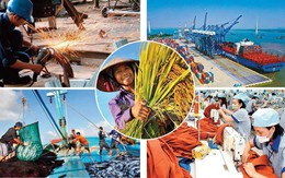 Chỉ còn 142 ngành, nghề đầu tư kinh doanh có điều kiện