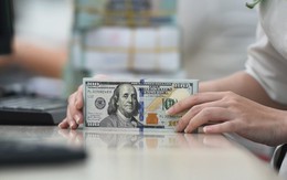 Tỷ giá USD hôm nay 21/5: Tỷ giá trung tâm ở mức 25.135 đồng