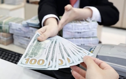 Tỷ giá USD hôm nay 22/5: Tỷ giá trung tâm giảm 1 đồng