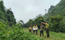 Xã Hiền Lương: Chủ động quản lý bảo vệ rừng và phòng chống cháy rừng