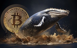 Giá Bitcoin hôm nay 28/5: “Cá voi” vẫn âm thầm gom hàng