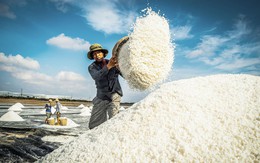Xây dựng  khung pháp lý linh hoạt để phát triển ngành muối bền vững