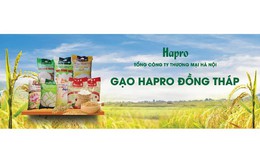Gạo Hapro Đồng Tháp: Nâng tầm hạt ngọc Việt trên hành trình vươn ra thế giới