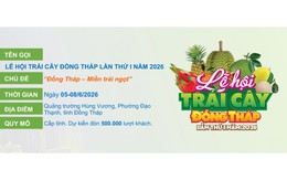 Lễ hội Trái cây Đồng Tháp 2026: Tôn vinh đặc sản miền Tây và khát vọng vươn xa