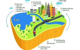 Hà Nội: Nghiên cứu phát triển mô hình “thành phố bọt biển” để giảm ngập đô thị