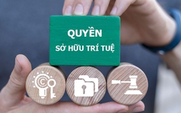 Ra quân ngăn chặn, xử lý hành vi xâm phạm quyền sở hữu trí tuệ trên toàn quốc