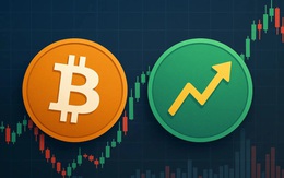 Giá Bitcoin hôm nay 7/5: Vượt 80.000 USD do làn sóng thanh lý vị thế bán