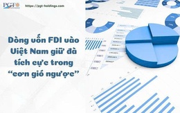 Dòng vốn FDI vào Việt Nam giữ đà tích cực trong “cơn gió ngược”