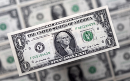Tỷ giá USD hôm nay 10/6: Tỷ giá trung tâm tăng 2 đồng