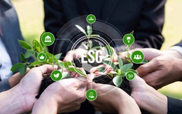 5 điểm nghẽn trong quá trình thực thi ESG của doanh nghiệp
