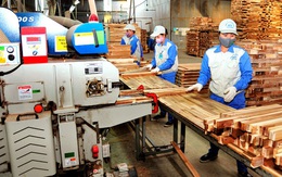 Doanh nghiệp gỗ chủ động thích ứng các rào cản thương mại mới chinh phục thị trường Bắc Mỹ