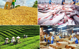 Xuất siêu nông lâm thủy sản hơn 7 tỷ USD trong 5 tháng