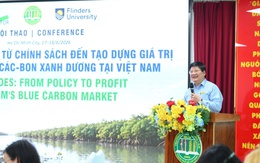 Các-bon xanh dương: Từ trách nhiệm môi trường đến cơ hội cạnh tranh mới của doanh nghiệp Việt Nam
