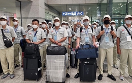 6 tháng đầu năm, hơn 66 nghìn lao động đi làm việc ở nước ngoài theo hợp đồng